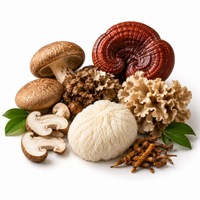 6 Mushroom Blend